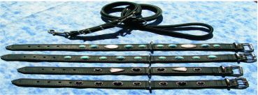 Preview: Schmucklederhalsband