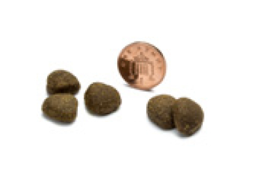 Preview: Canagan Free-Run Chicken 6.0 kg