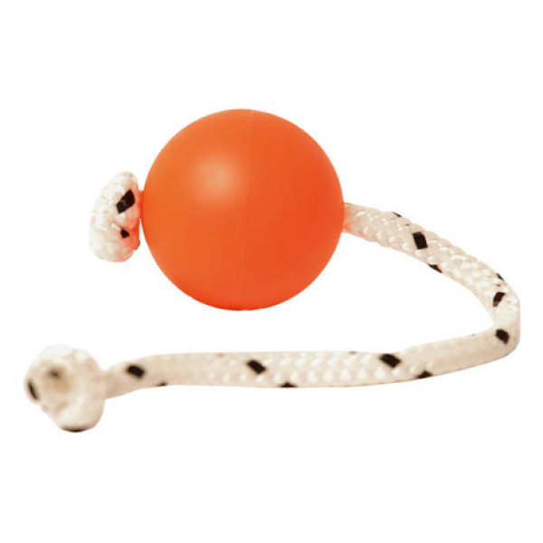 Ausbildunghilfsmittel