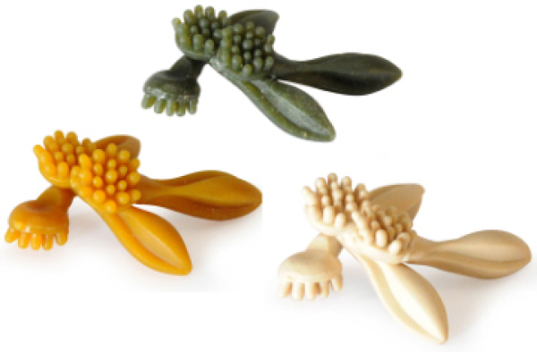 Vegetarische Kaubrush