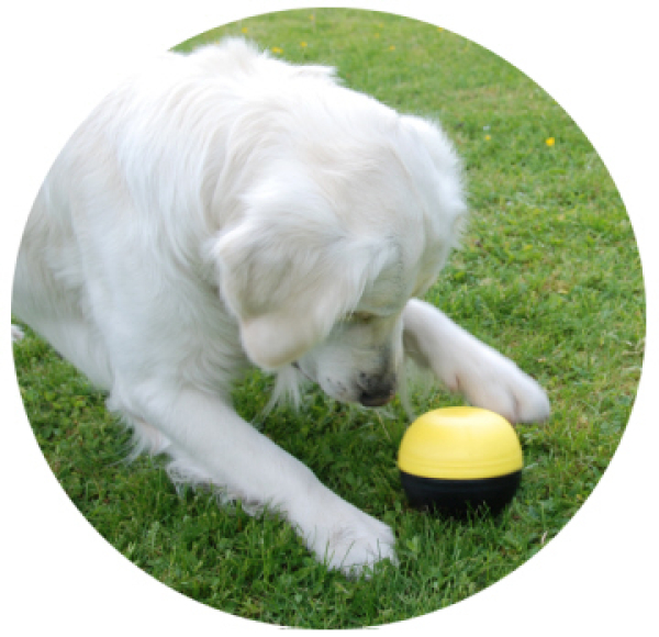 Interaktives Plastikspielzeug