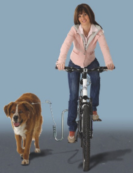 Hund am Fahrrad